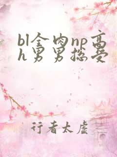 bl全肉np高h男男总受