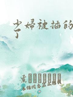 少妇被插的高潮了