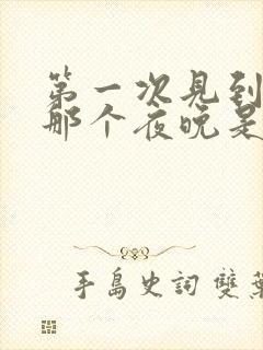 第一次见到你的那个夜晚是什么歌