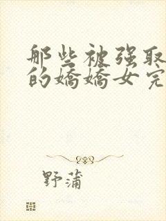 那些被强取豪夺的娇娇女完结了吗