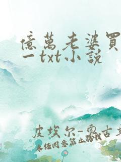 亿万老婆买一送一txt小说