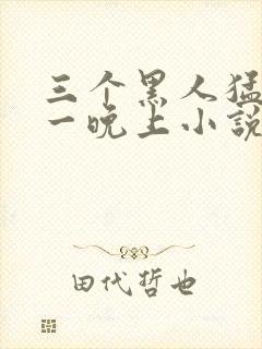 三个黑人猛躁我一晚上小说