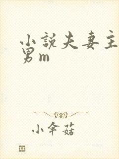 小说夫妻主调教男m