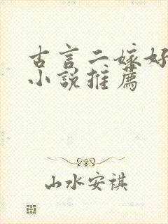 古言二嫁好看的小说推荐