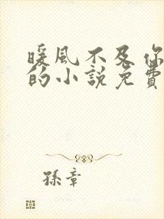 暖风不及你情深的小说免费阅读