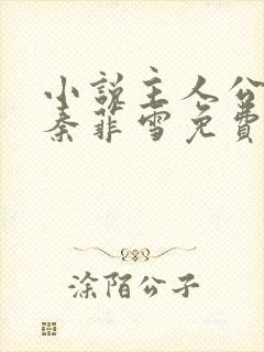 小说主人公沈浩秦菲雪免费阅读全文最新章节