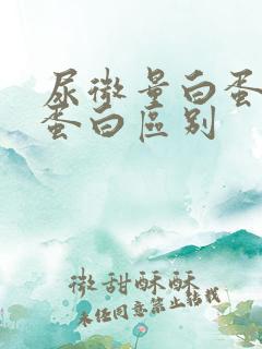 尿微量白蛋白尿蛋白区别