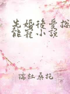 先婚后爱总裁太能宠小说