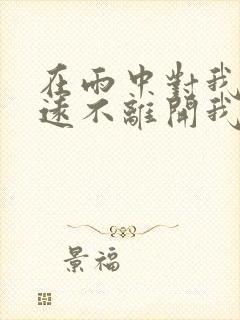 在雨中对我说永远不离开我是什么歌