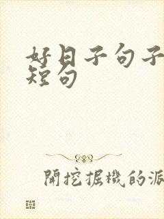 好日子句子唯美短句