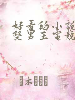 好看的小说推荐双男主电竞