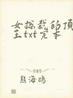 女总裁的顶级兵王txt完本