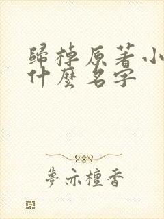 归棹原著小说叫什么名字