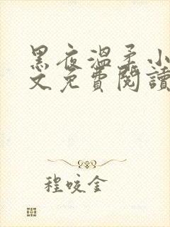 黑夜温柔小说全文免费阅读