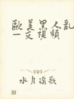 欧美黑人乱—大—交视频