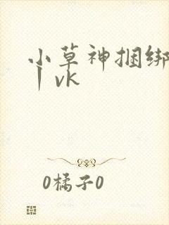 小草神捆绑电击丨vk