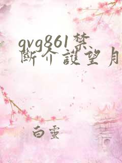 gvg861禁断介护望月りさ
