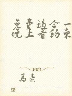 免费适合一个人晚上看的东西