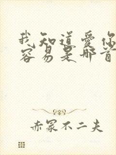 我知道爱你并不容易是哪首歌的歌词