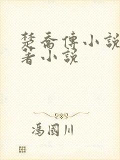 楚乔传小说2原著小说