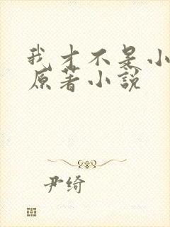 我才不是小可怜原著小说