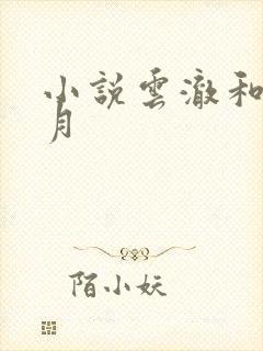 小说云澈和夏倾月