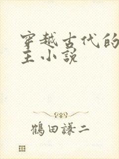 穿越古代的双男主小说