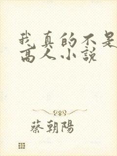 我真的不是盖世高人小说