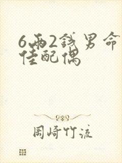 6两2钱男命最佳配偶