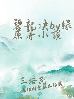 碧龙决by绿文原著小说