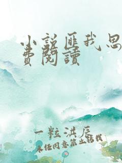 小说匪我思存免费阅读