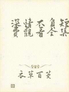 深情不负短剧免费观看全集