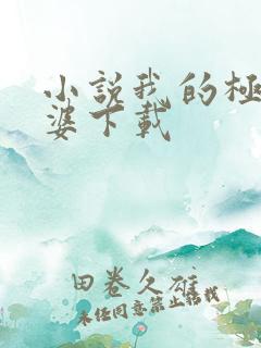 小说我的极品老婆下载