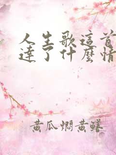 人生歌这首歌表达了什么情感