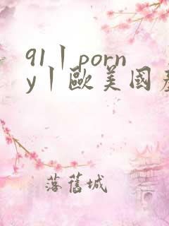 91丨porny丨欧美国产日韩骚货