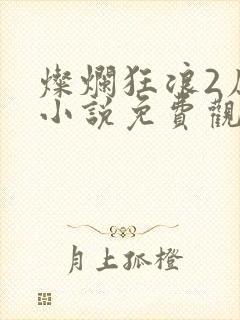 灿烂狂浪2原著小说免费观看