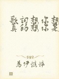 歌词想你想你我真的想你是啥歌名