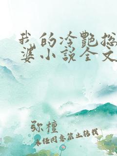 我的冷艳总裁老婆小说全文阅读