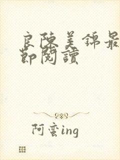 良陈美锦最新章节阅读