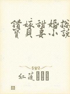 错嫁甜婚总裁的宝贝妻小说全文