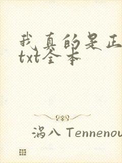 我真的是正派 txt全本