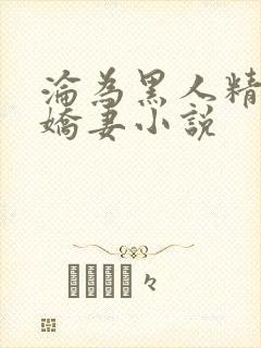 沦为黑人精厕的娇妻小说