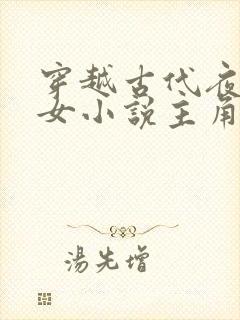 穿越古代夜御两女小说主角