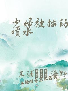 少妇被插的高潮喷水