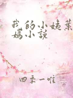 我的小姨叶凡司嫣小说