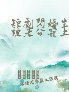 短剧闪婚生子后被老公宠上天