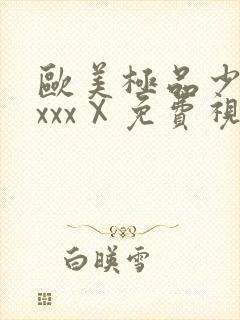 欧美极品少妇xxxxⅩ免费视频