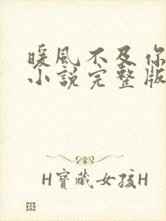 暖风不及你情深小说完整版txt