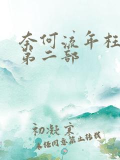 奈何流年枉情深第二部