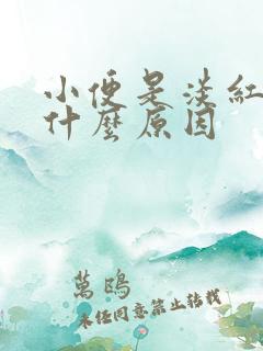 小便是淡红色是什么原因